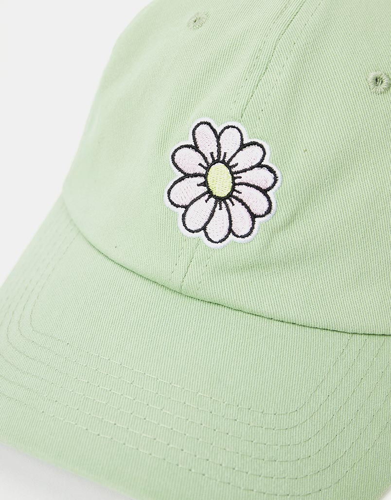 Santa Cruz Wildflower Cap - Pastel Green