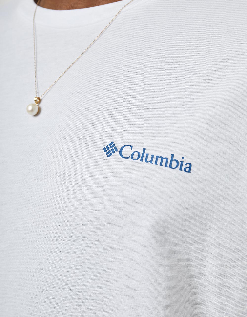 Columbia Rapid Ridge Back Graphic II T-Shirt - White Natures Palette