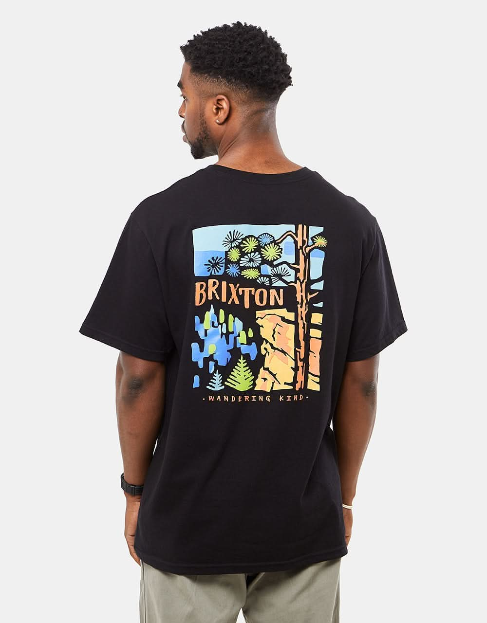 Brixton Highview Standard Fit T-Shirt - Black