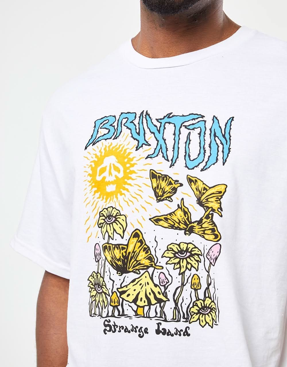 Brixton Strange Land Standard Fit T-Shirt - White