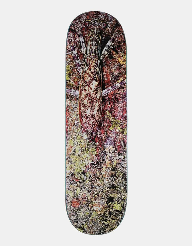 Glue Cryptic Coloration Skateboard-Deck – 8,625 Zoll