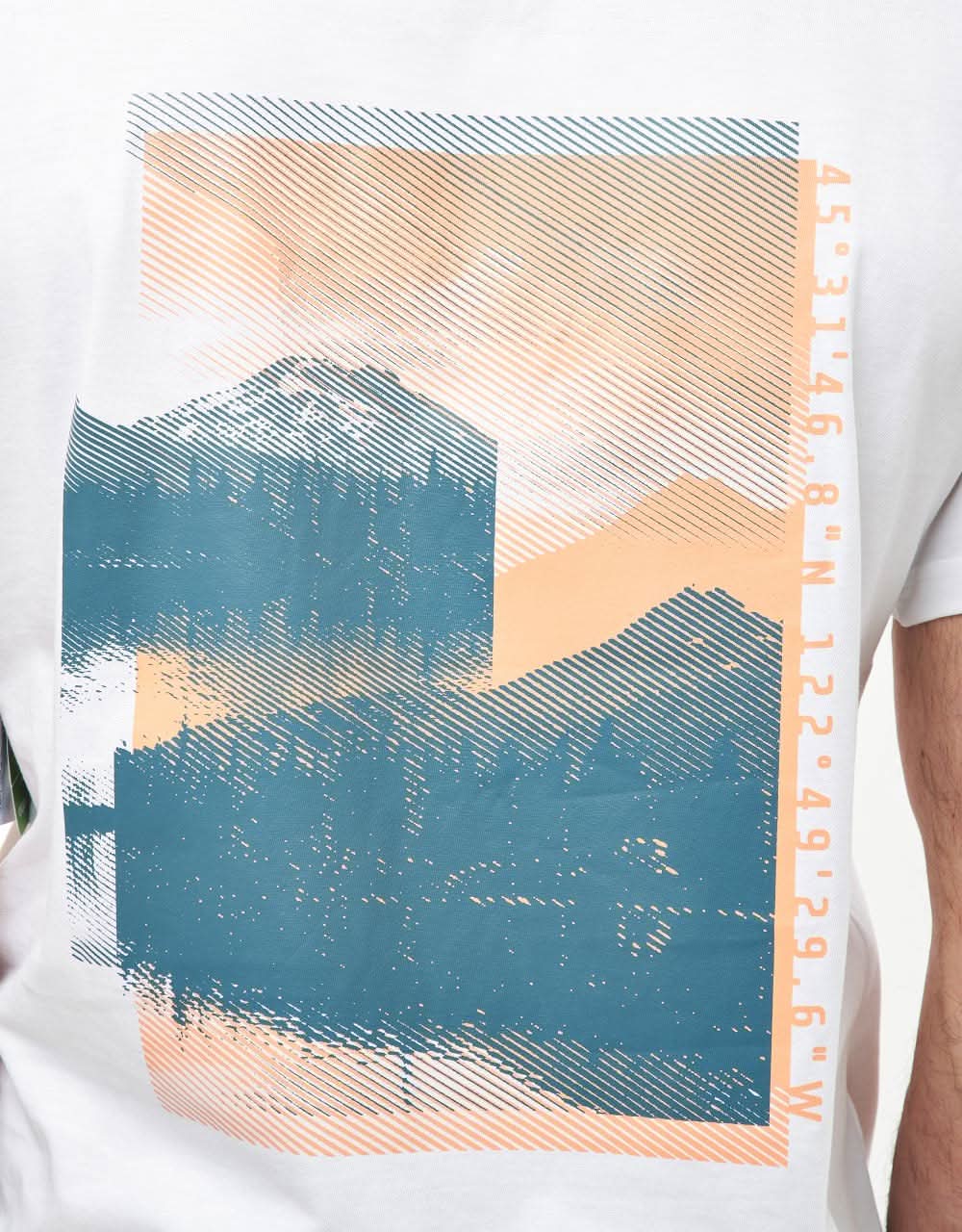 Columbia Rapid Ridge™ Back Graphic T-Shirt - White/Tonal Treescape