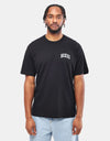 T-shirt Dickies Aitkin sul petto - nera/blu coroncina