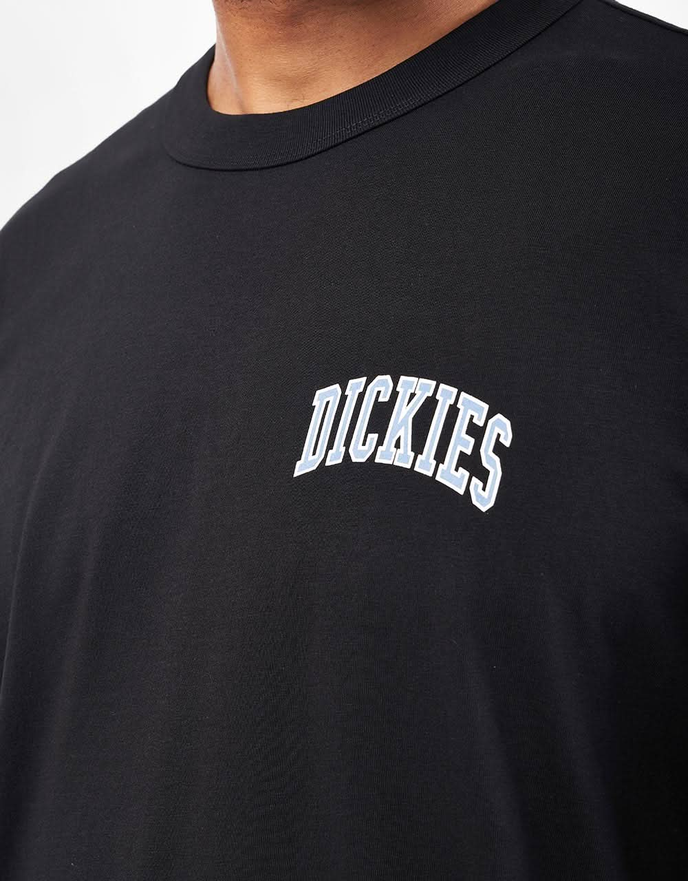 T-shirt Dickies Aitkin sul petto - nera/blu coroncina