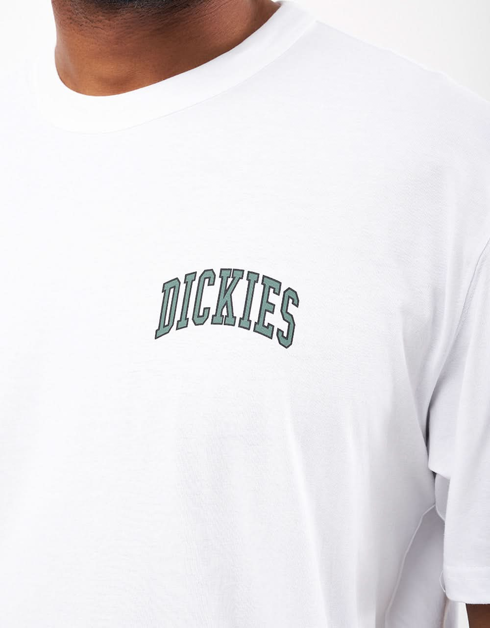 T-shirt Dickies Aitkin Chest - Bianco/Foresta scura