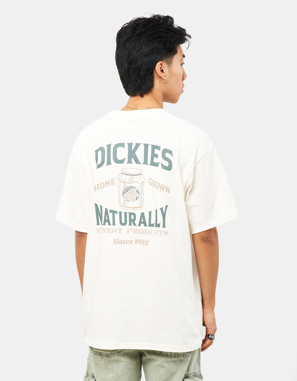 Dickies Elliston T-Shirt – Wolke