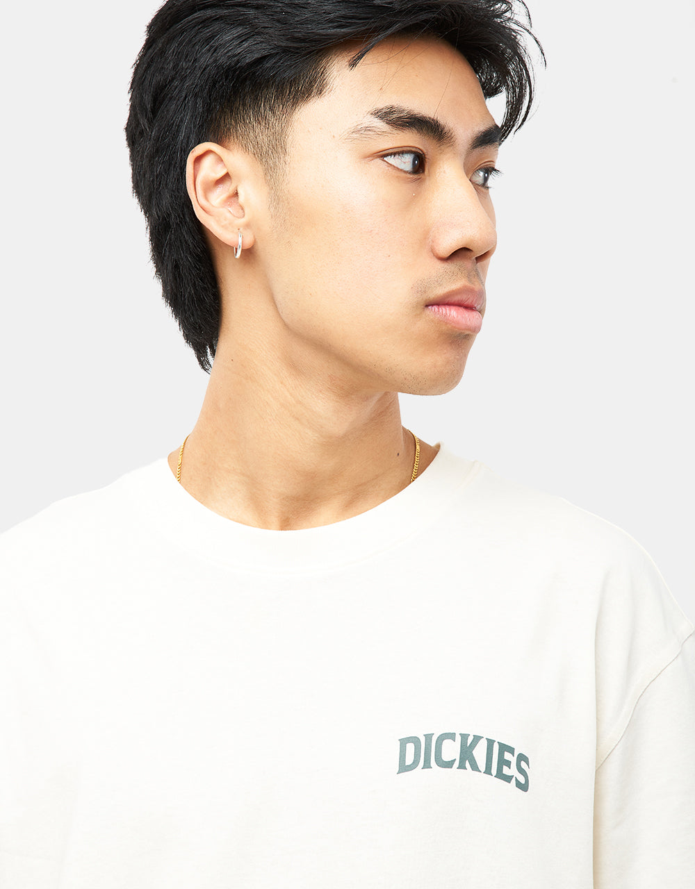 Camiseta Dickies Elliston - Nube