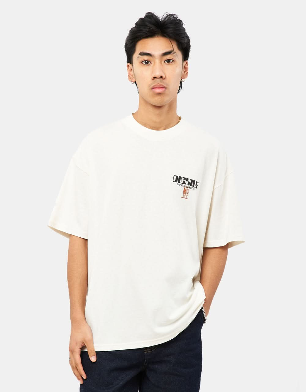 Dickies Pearisburg T-Shirt - Cloud