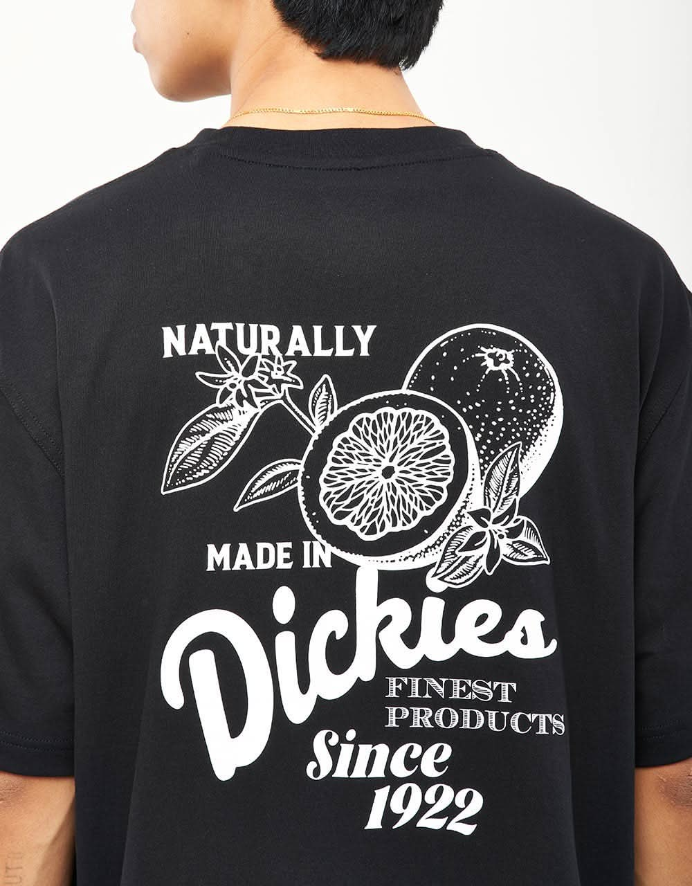 Dickies Raven T-Shirt - Black