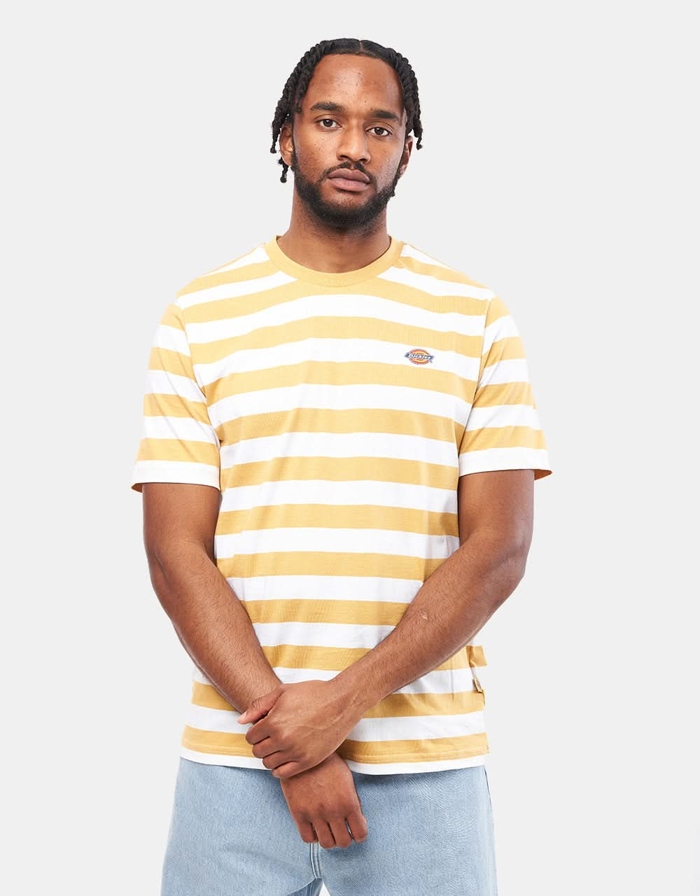 Dickies Rivergrove Striped T-Shirt - Fall Leaf