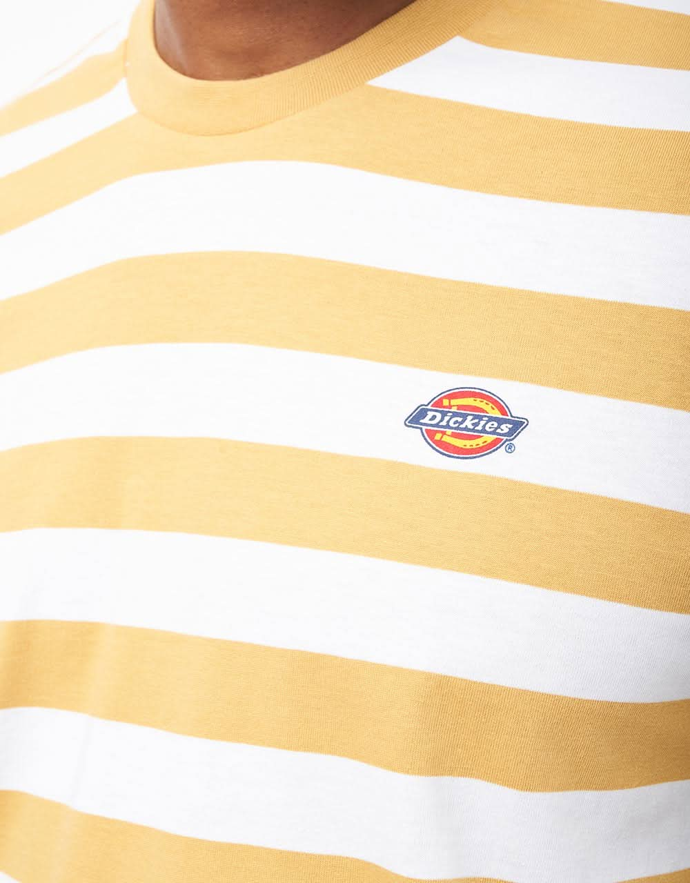 Dickies Rivergrove Striped T-Shirt - Fall Leaf