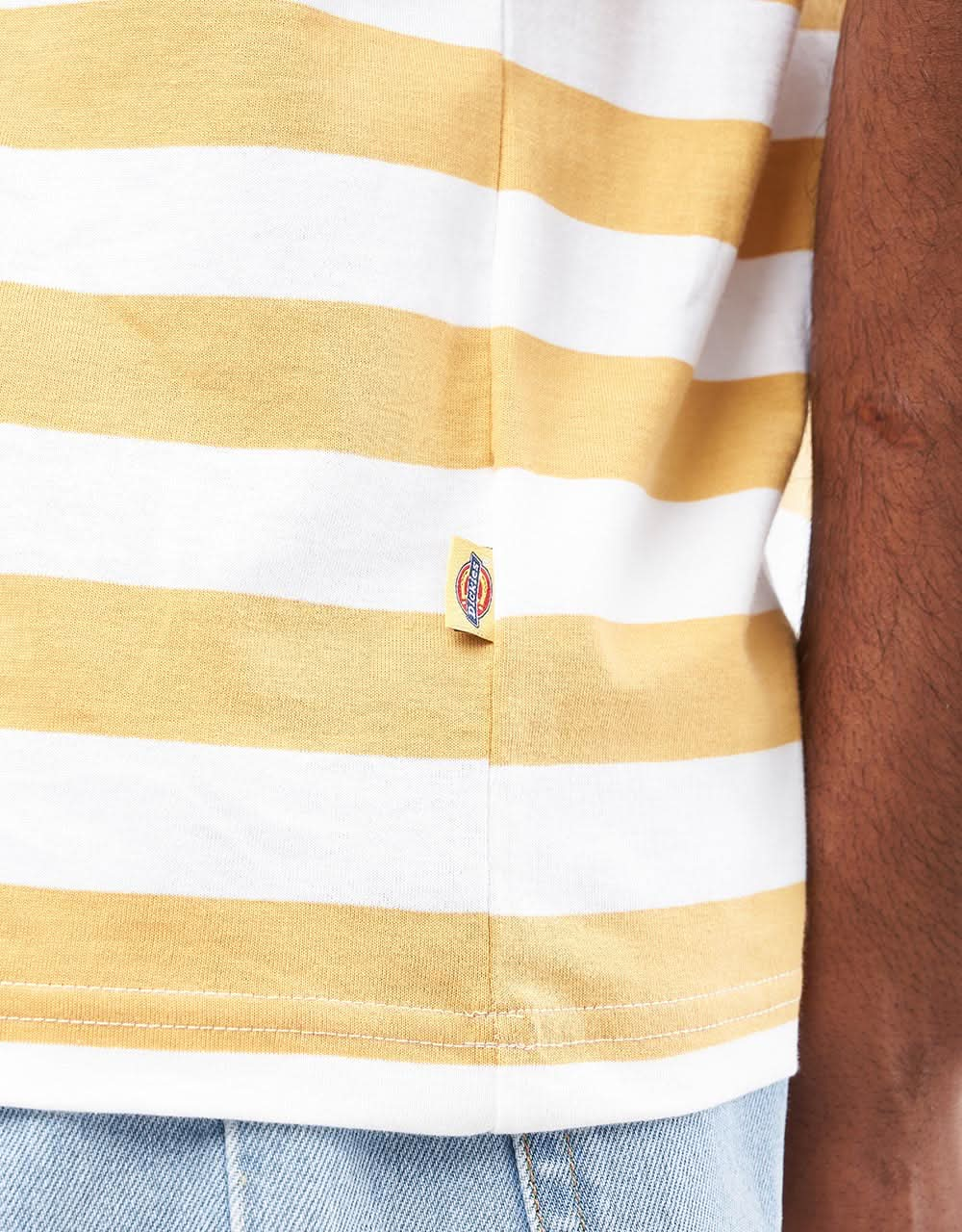 Dickies Rivergrove Striped T-Shirt - Fall Leaf