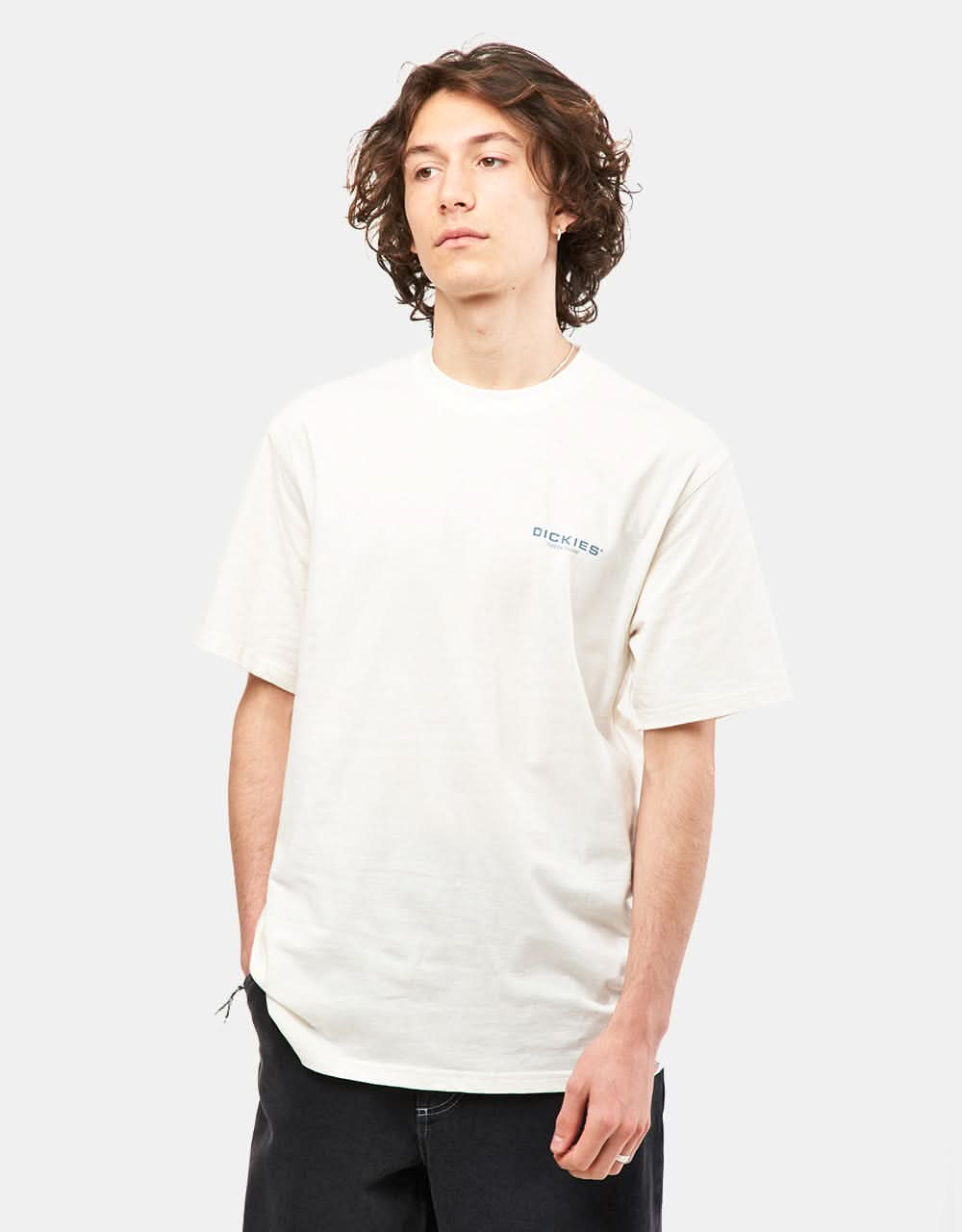 Dickies Wakefield T-Shirt - Cloud