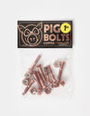 Pig Copper 1" Phillips Bolts