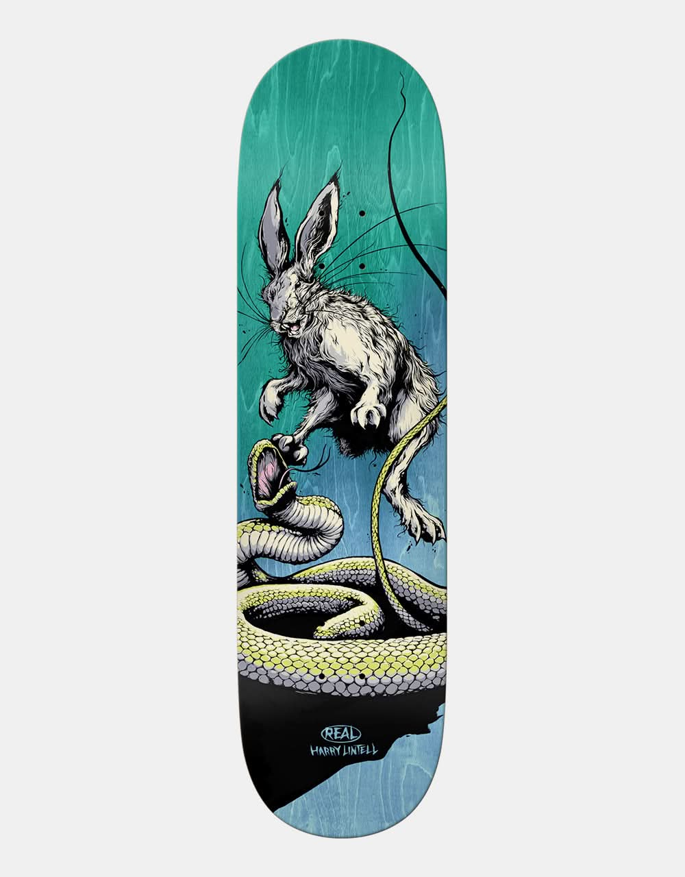 Real Lintell Prey Skateboard Deck - 8.4"