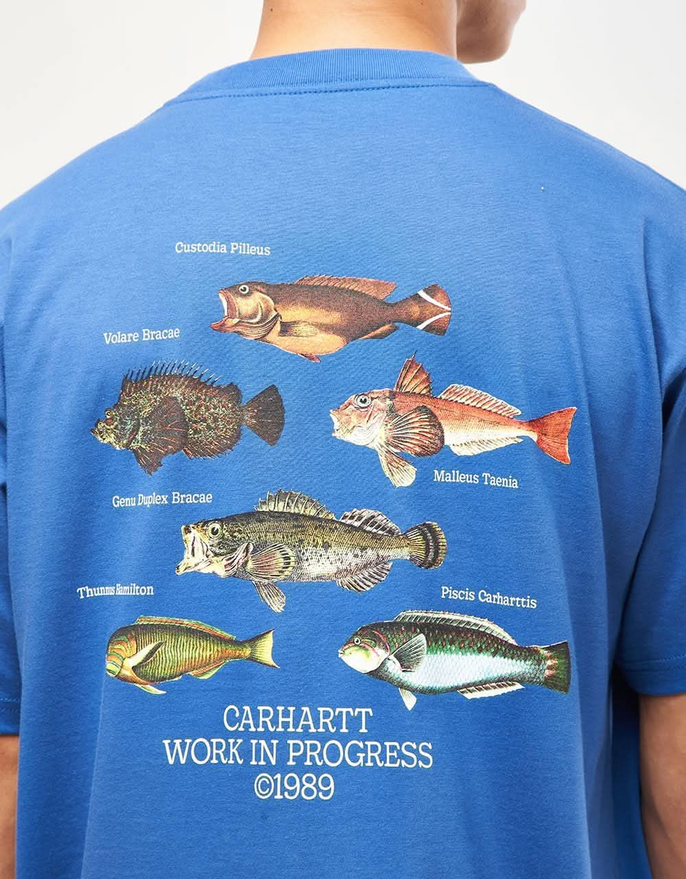 Carhartt WIP Fish T-Shirt - Acapulco