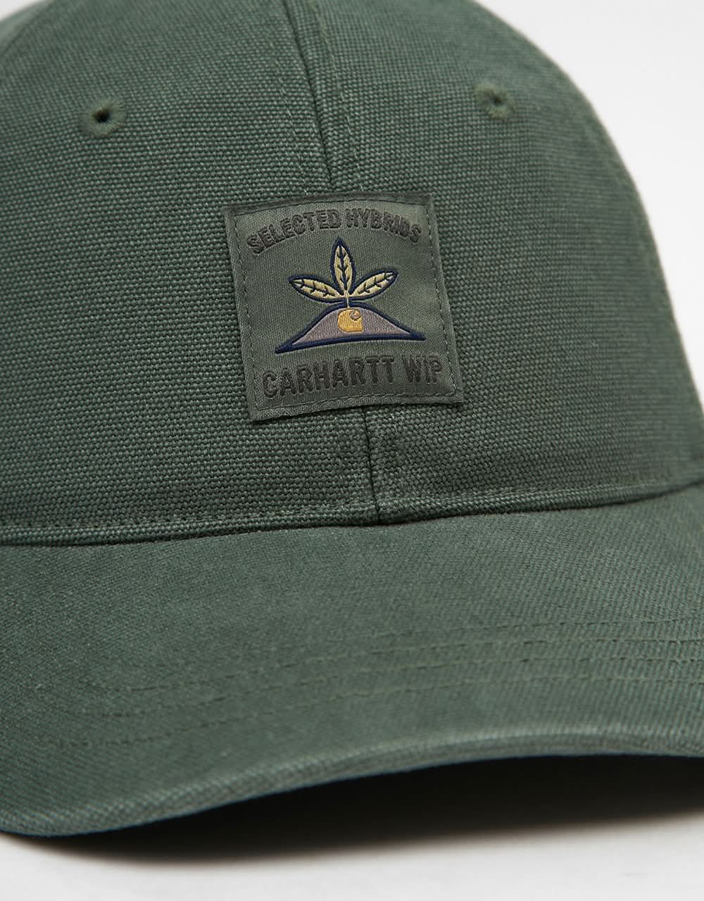 Carhartt WIP Field Cap - Park