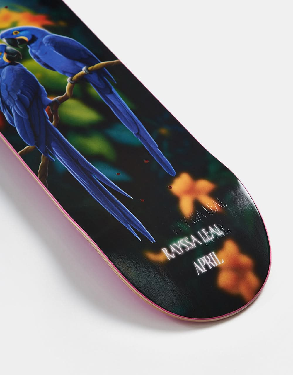 April Rayssa Blue Macaw Skateboard Deck - 8.25"