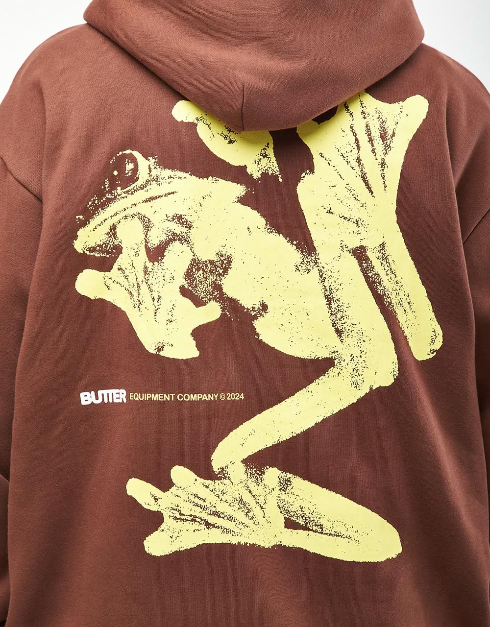 Felpa con cappuccio e pullover anfibio di Butter Goods - Cioccolato