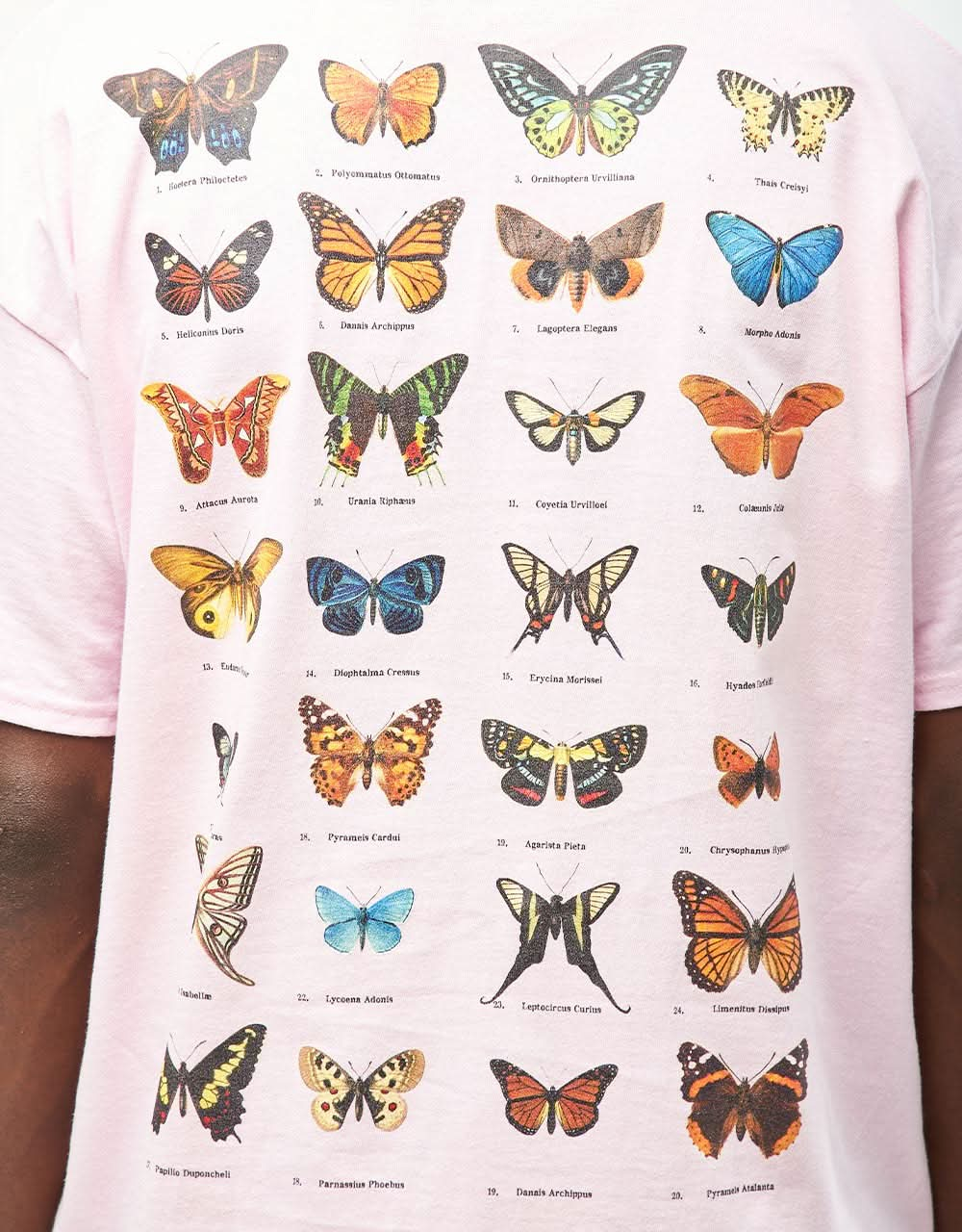 T-shirt Route One Flutter - rosa chiaro