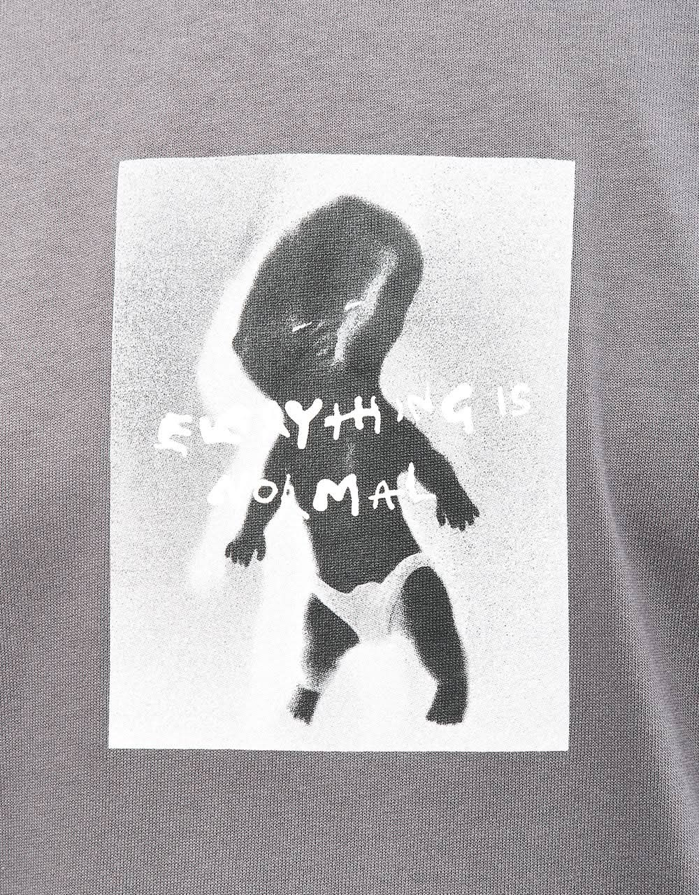 Polar Everything Is Normal T-Shirt - Graphite