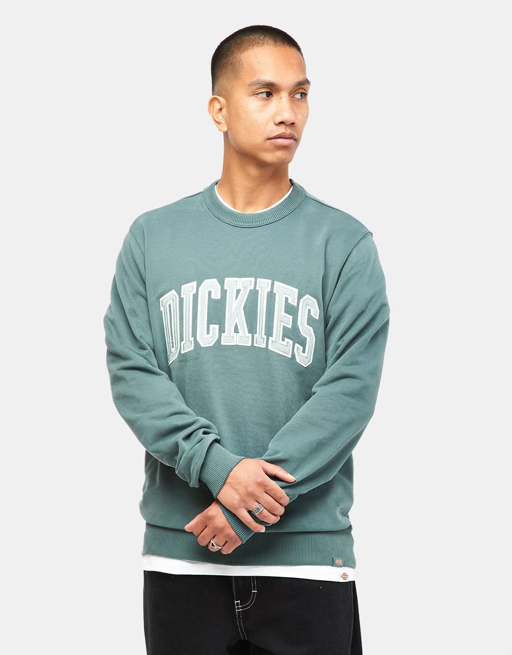 Sudadera Dickies Aitkin - Verde Lincoln/Azul Surf