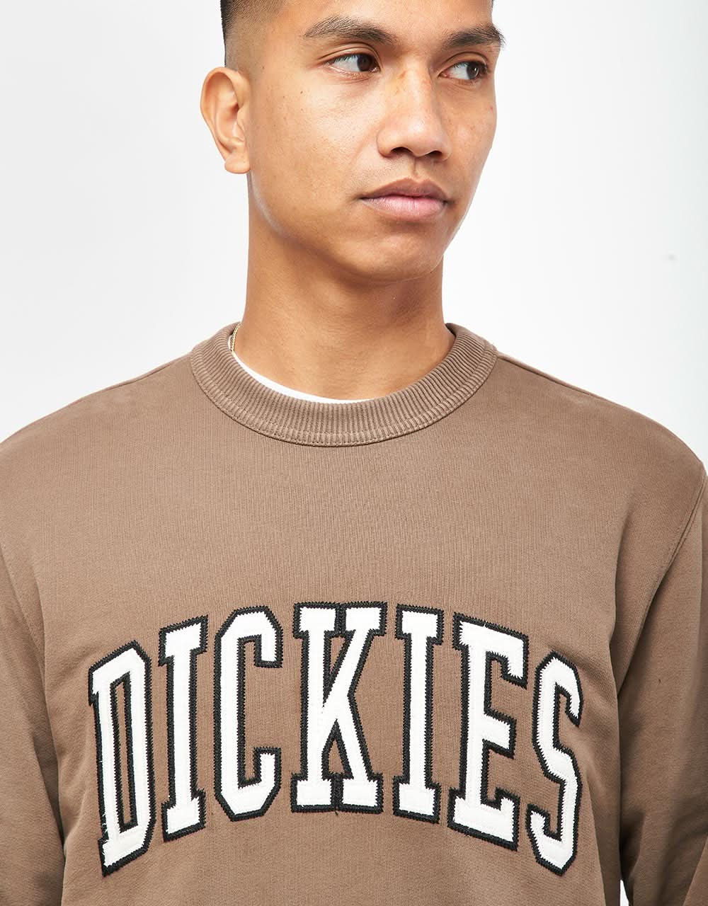 Dickies Aitkin Sweatshirt - Mushroom/Cloud