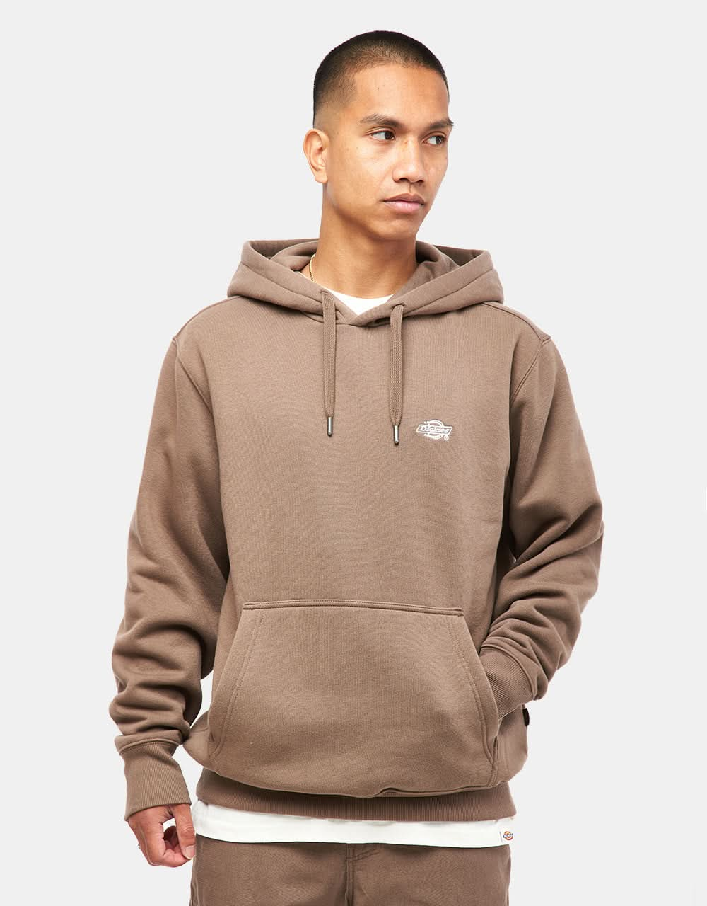 Sudadera con capucha Dickies Summerdale - Champiñón