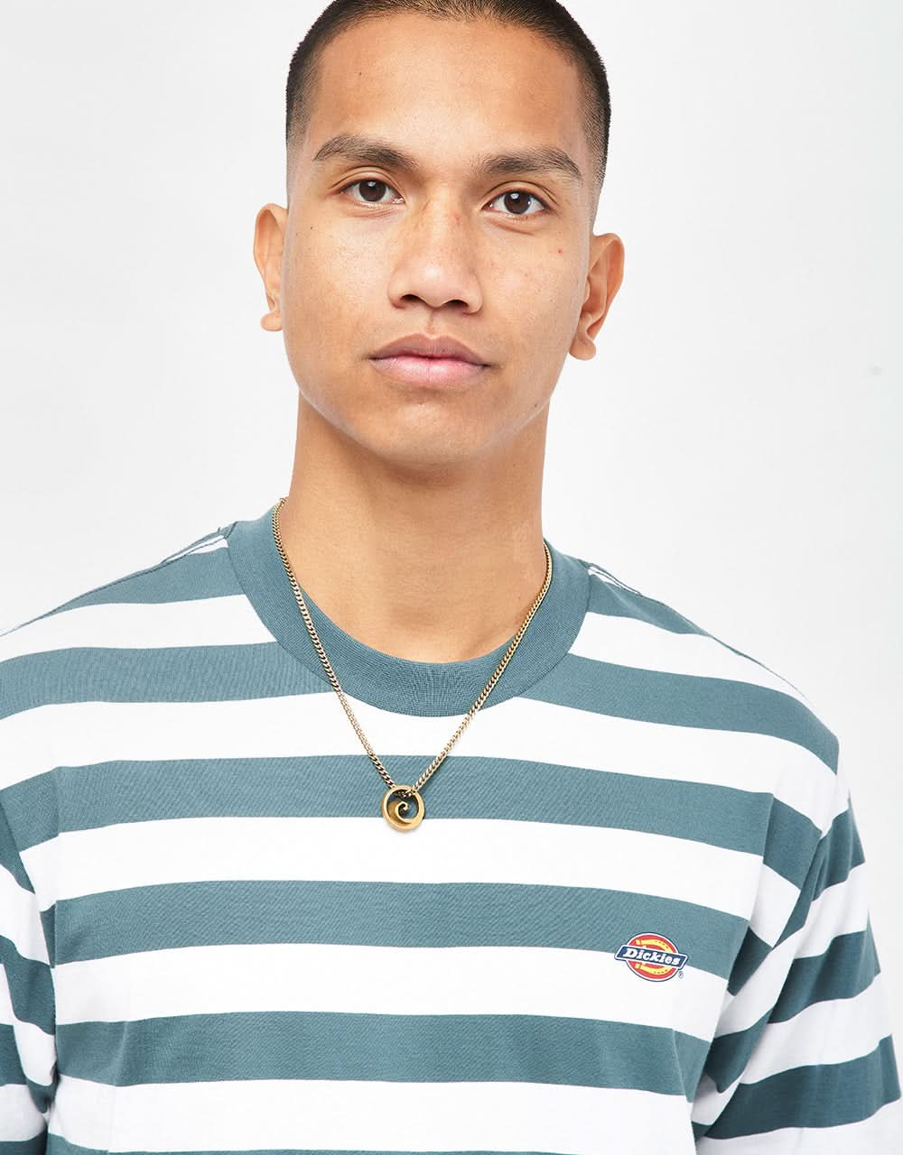 Dickies Rivergrove Stripe T-Shirt - Lincoln Green