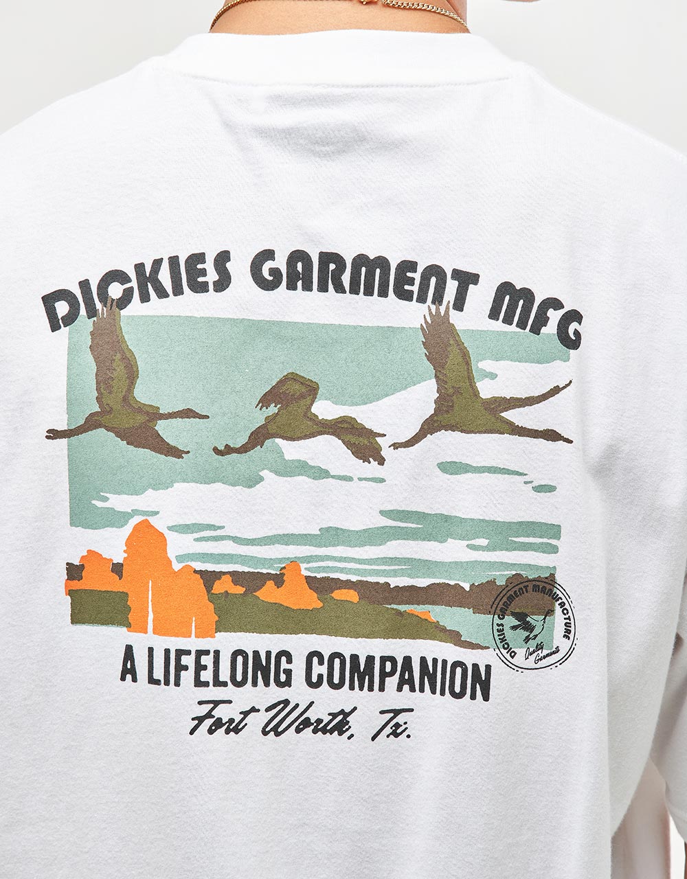 Dickies Companion T-Shirt - White