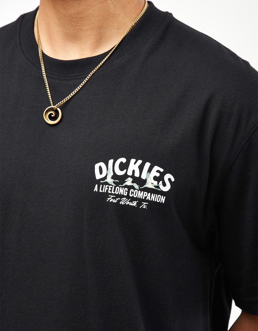 Dickies Companion T-Shirt - Black