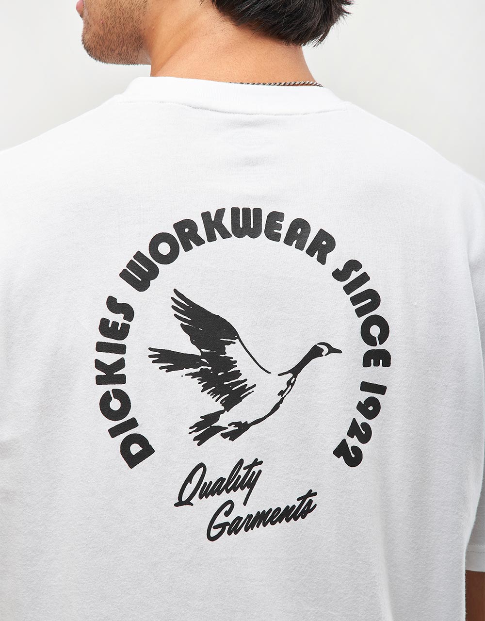 Dickies Goose T-Shirt - White