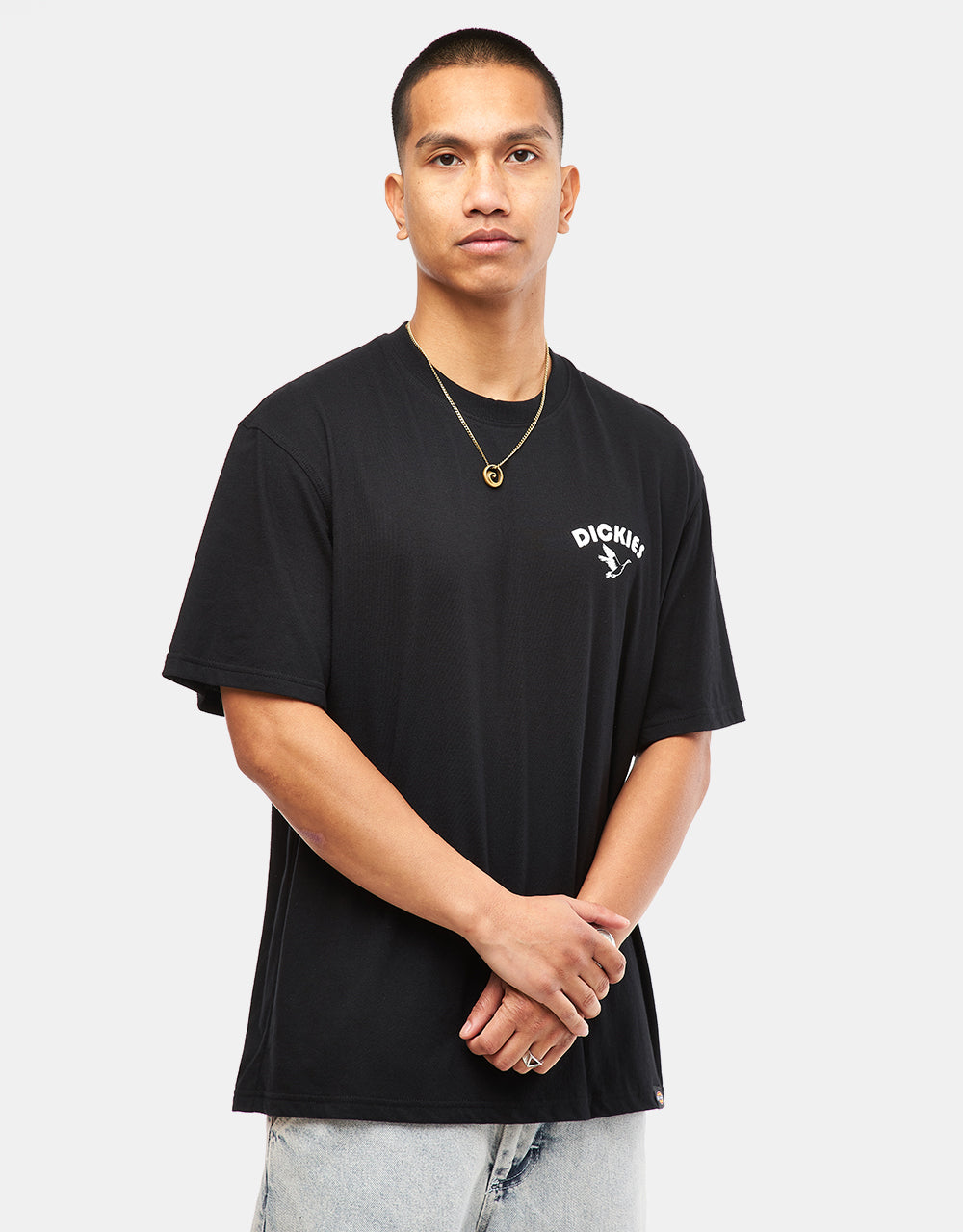 Dickies Goose T-Shirt - Black