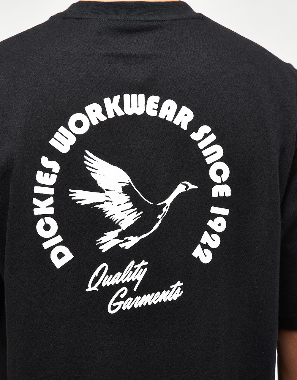 Maglietta Dickies Goose - Nera