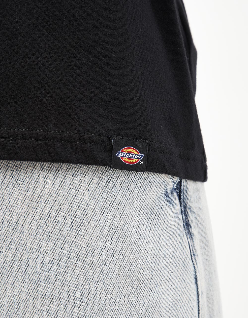 Maglietta Dickies Goose - Nera