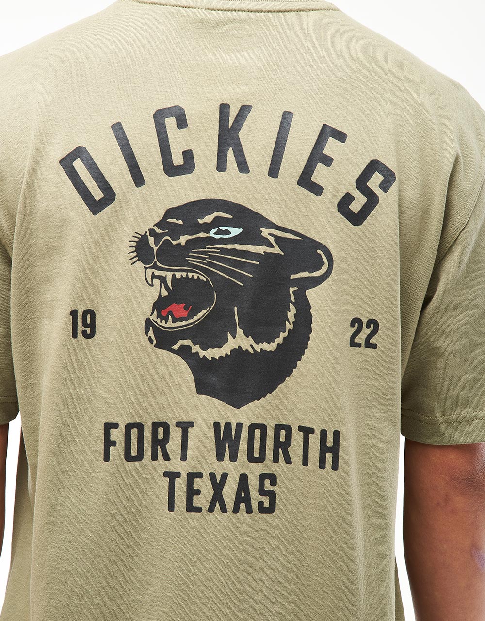 Dickies Panther T-Shirt - Imperial Green