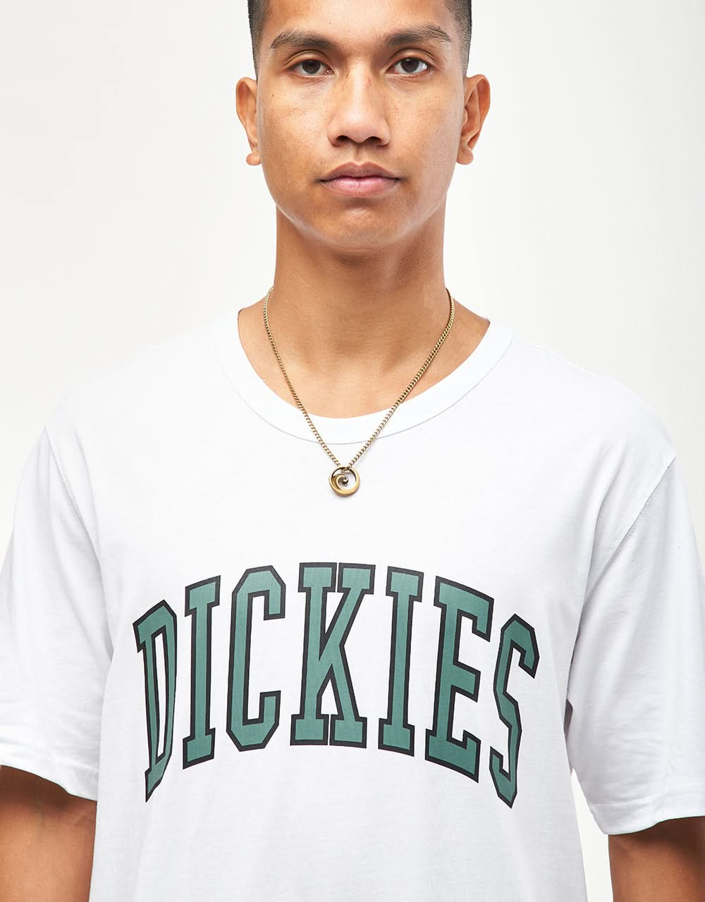 Dickies Aitkin T-Shirt - White/Dark Forest