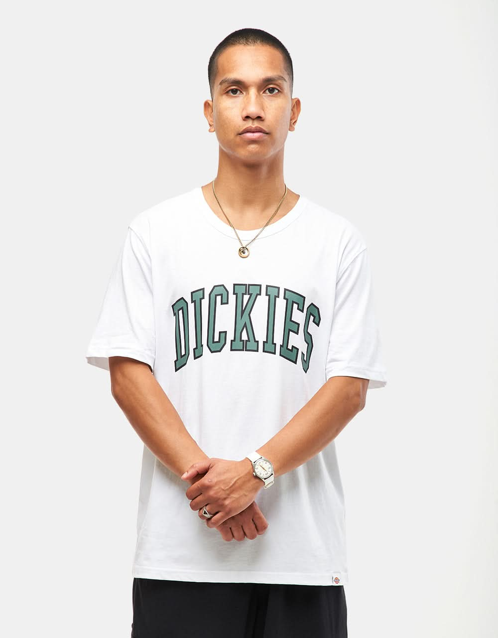 Dickies Aitkin T-Shirt - White/Dark Forest