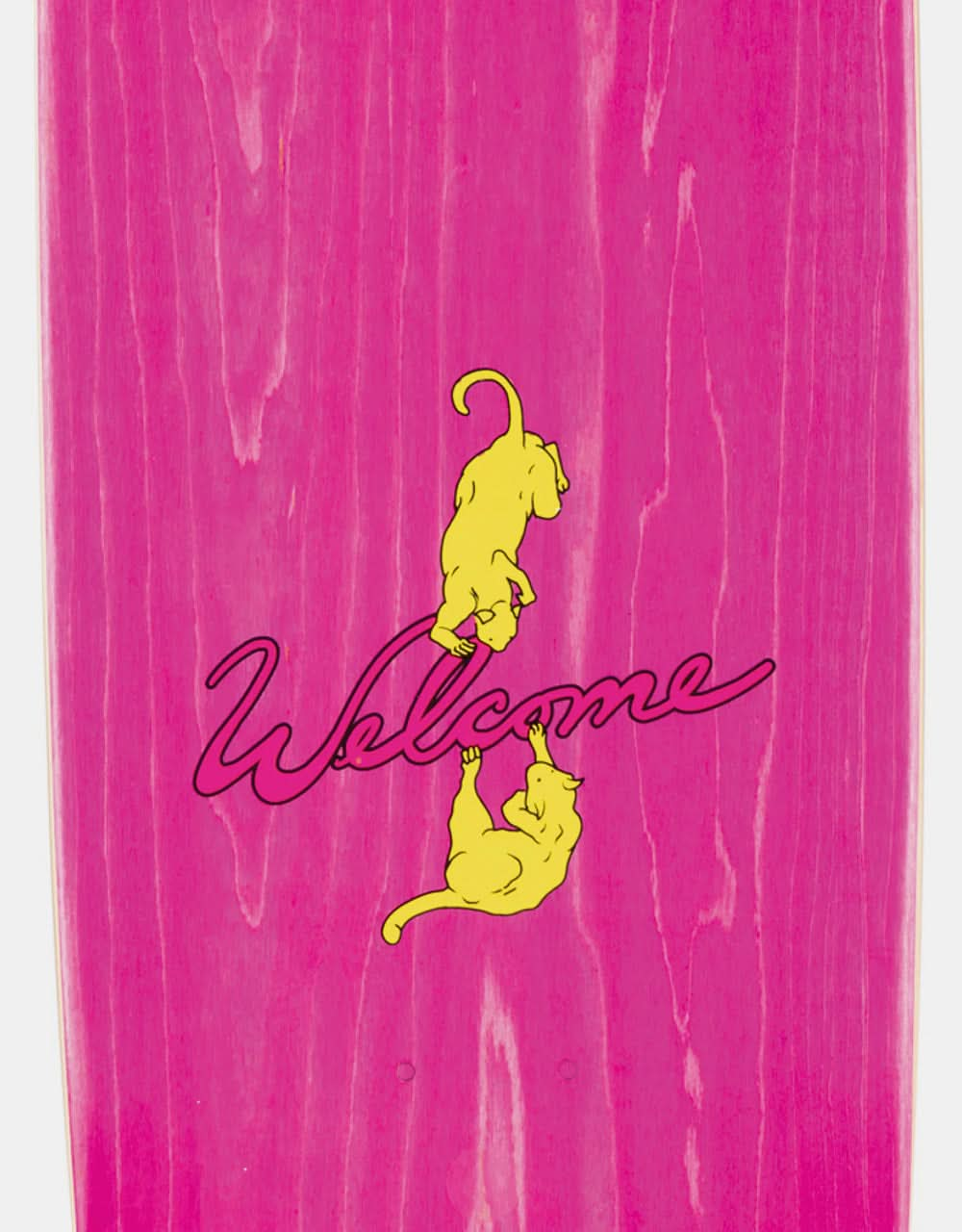 Welcome Nora Special Effects on Sphynx Skateboard Deck - 8.8"