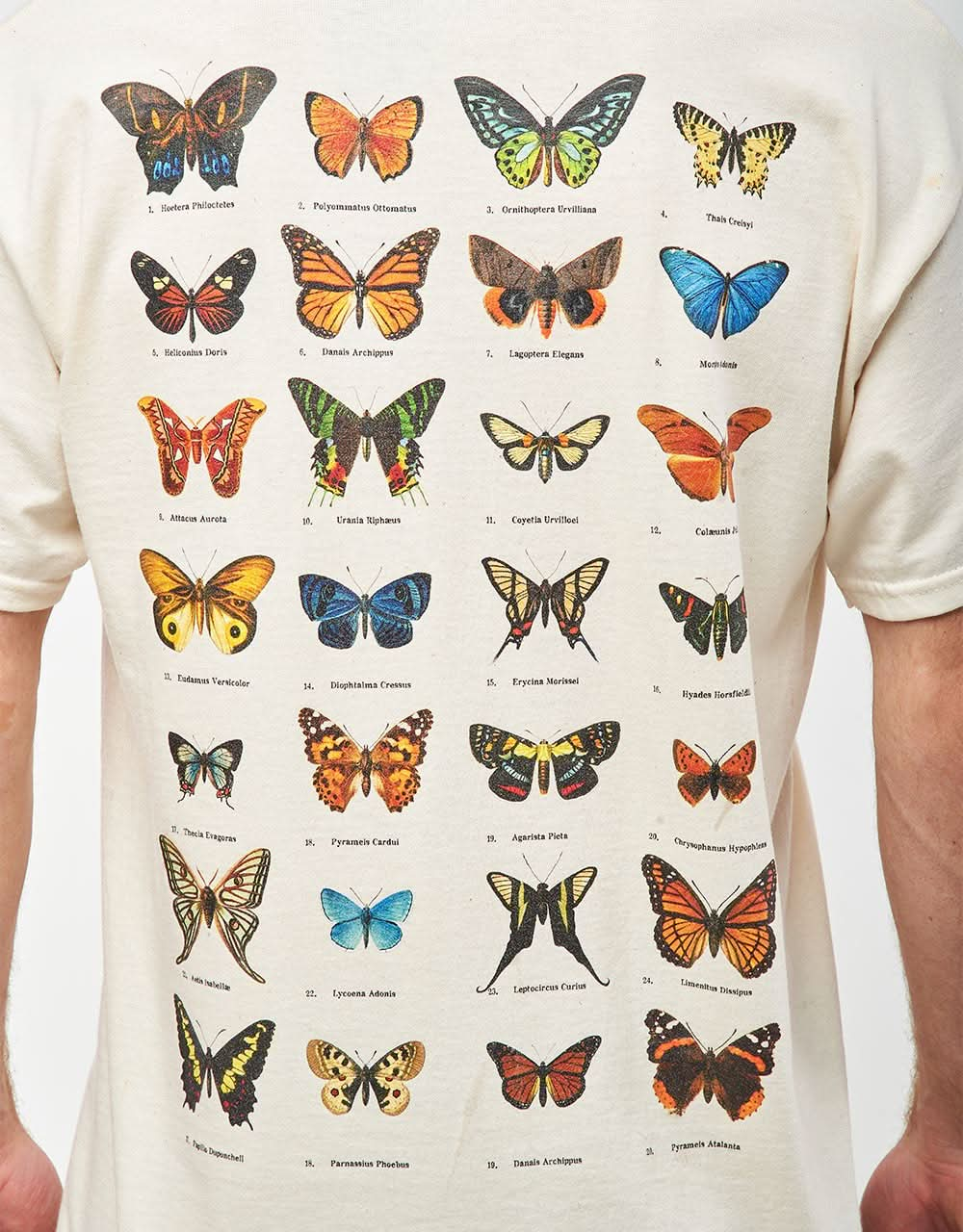 Route One Flutter T-Shirt - Natural