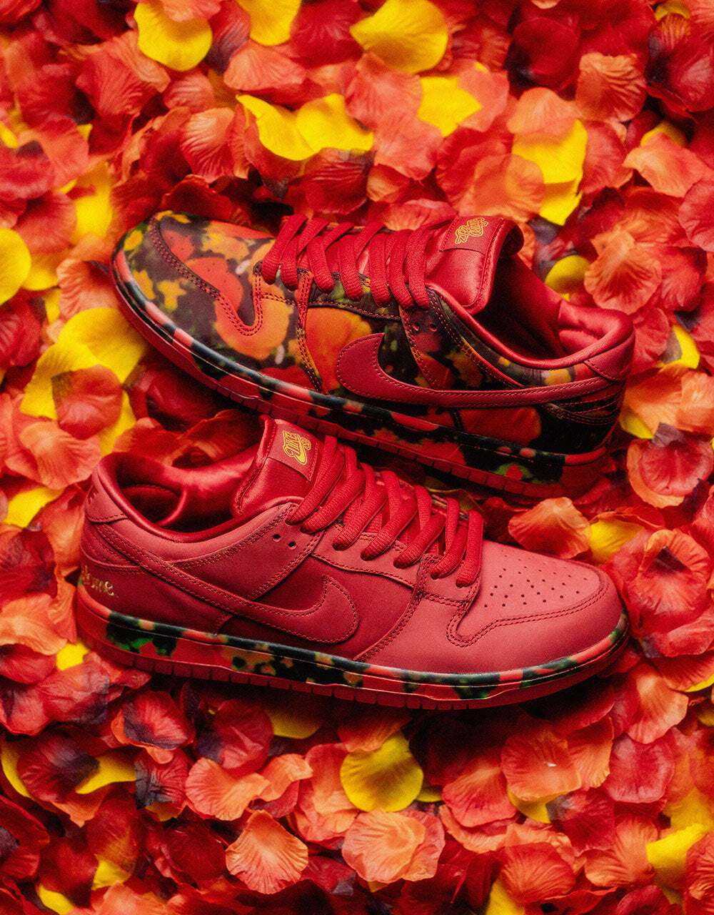 Nike SB 'Wizard of Oz' Dunk Low Pro QS Skate Shoes - Gym Red/University Red-Multi-Color