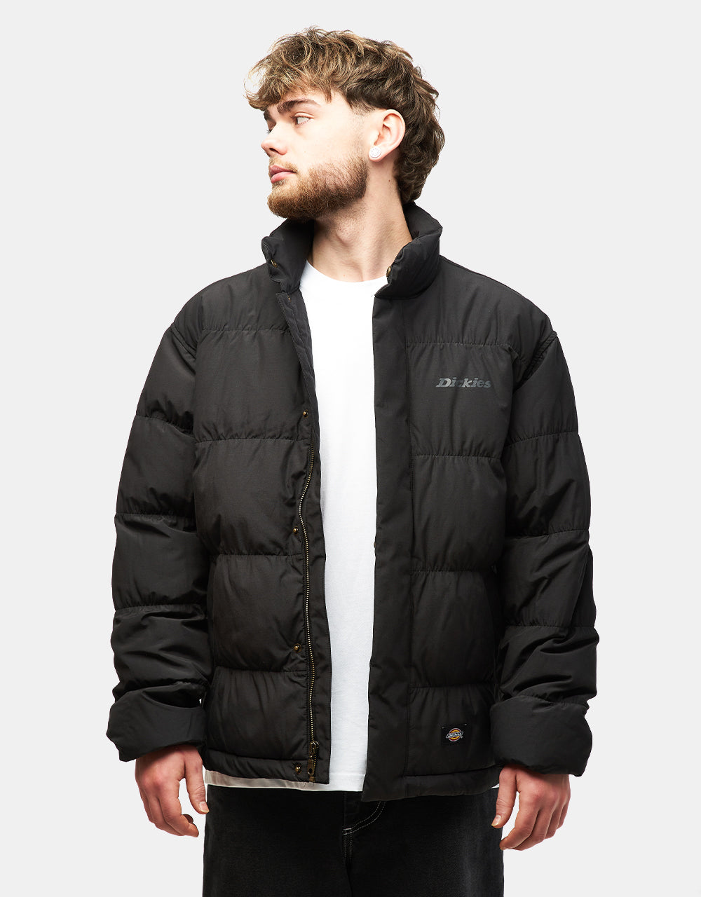 Dickies Scobey Puffer Jacket - Black