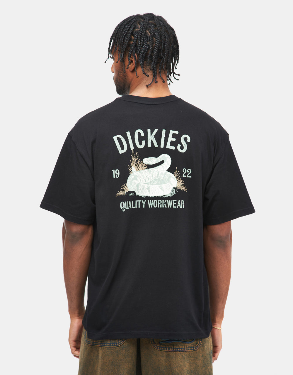 Dickies Snake T-Shirt - Black