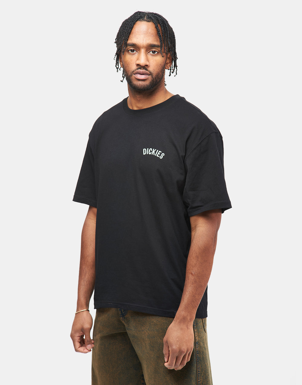 Dickies Snake T-Shirt - Black