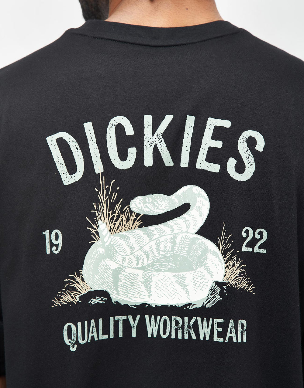 Dickies Snake T-Shirt - Black