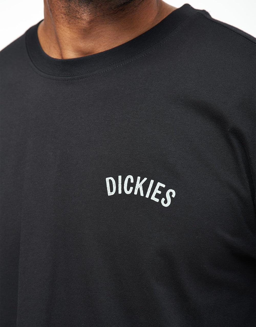 Dickies Snake T-Shirt - Black