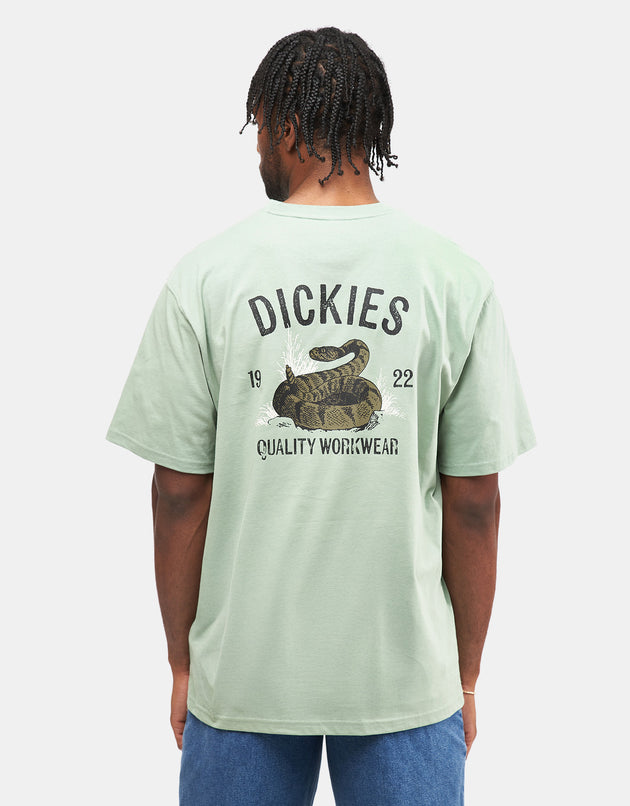 Dickies Snake T-Shirt - Iceberg Green