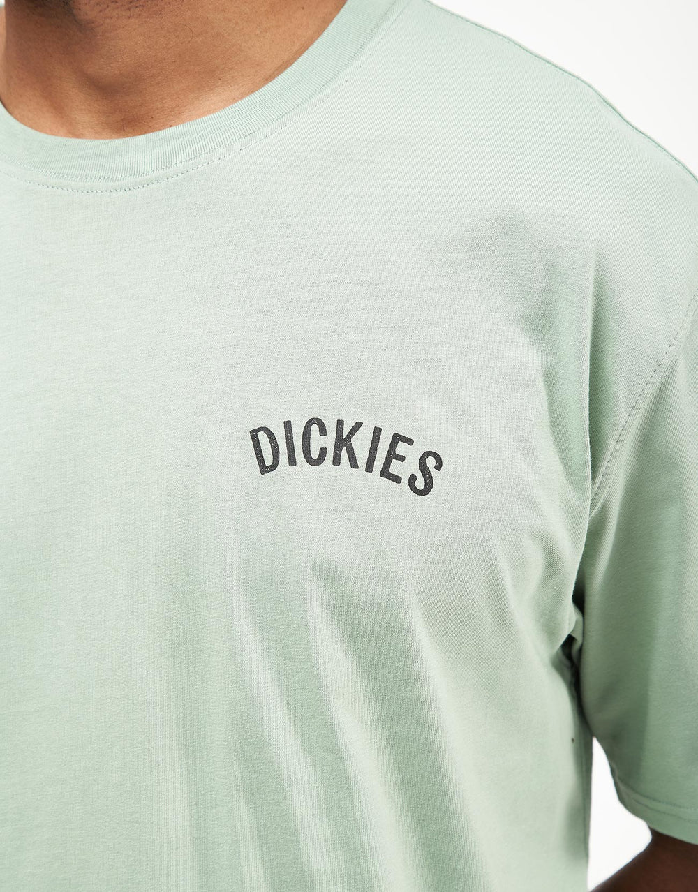 Dickies Snake T-Shirt - Iceberg Green