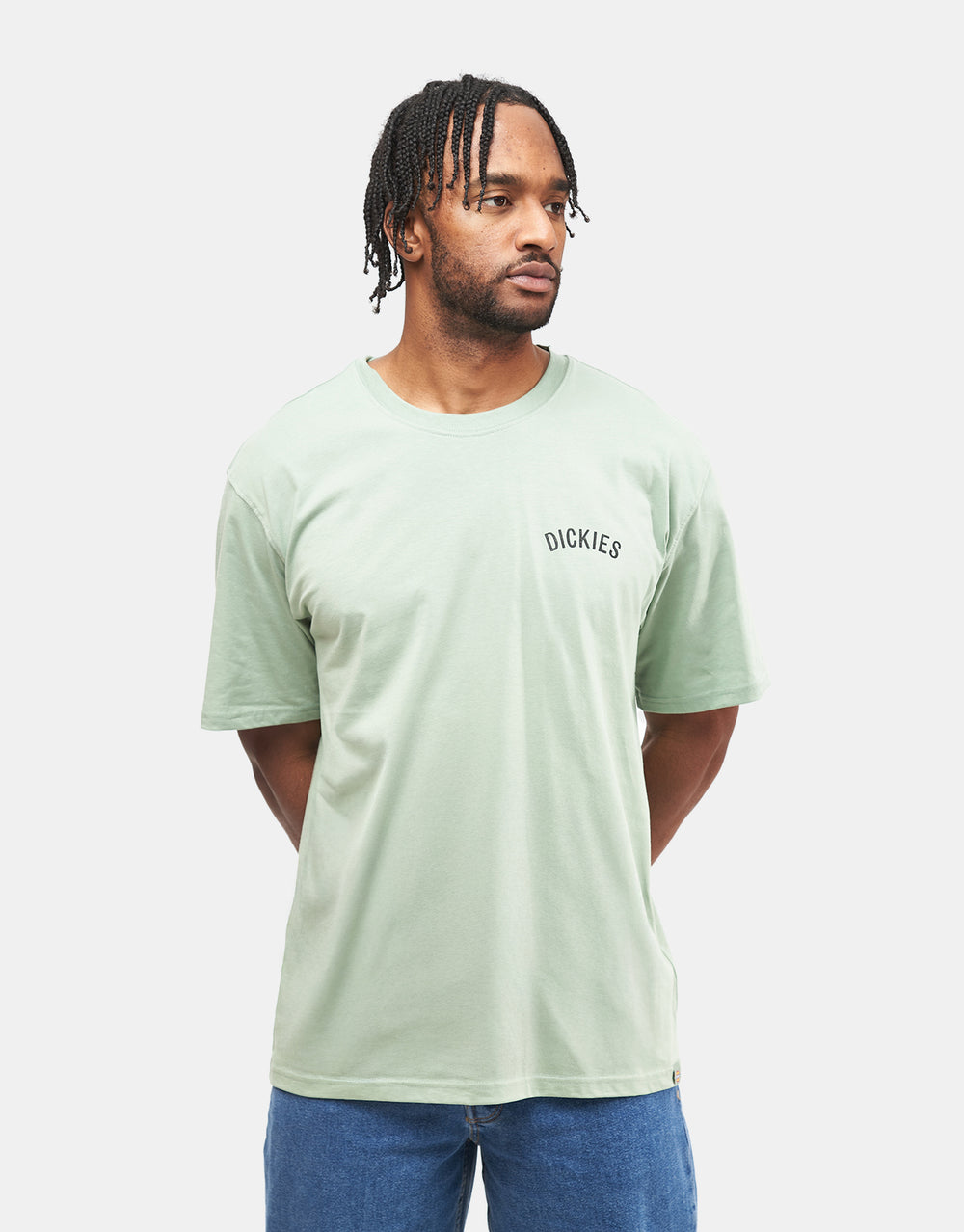 Dickies Snake T-Shirt - Iceberg Green