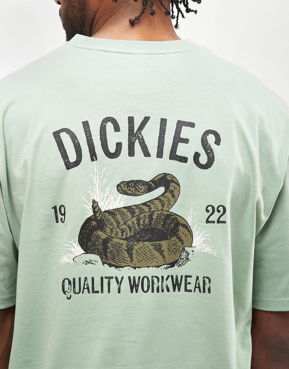 Dickies Snake T-Shirt - Iceberg Green